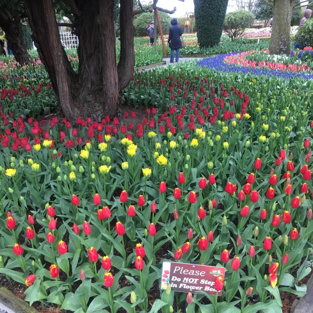 Meet your Posher, Lori